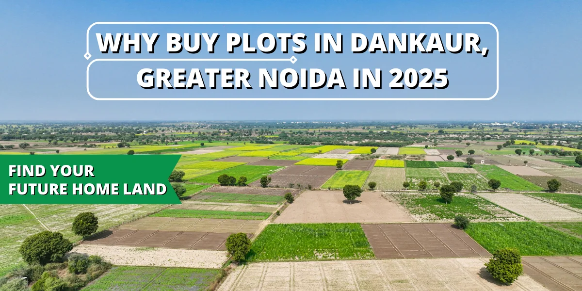 Plots in Dankaur